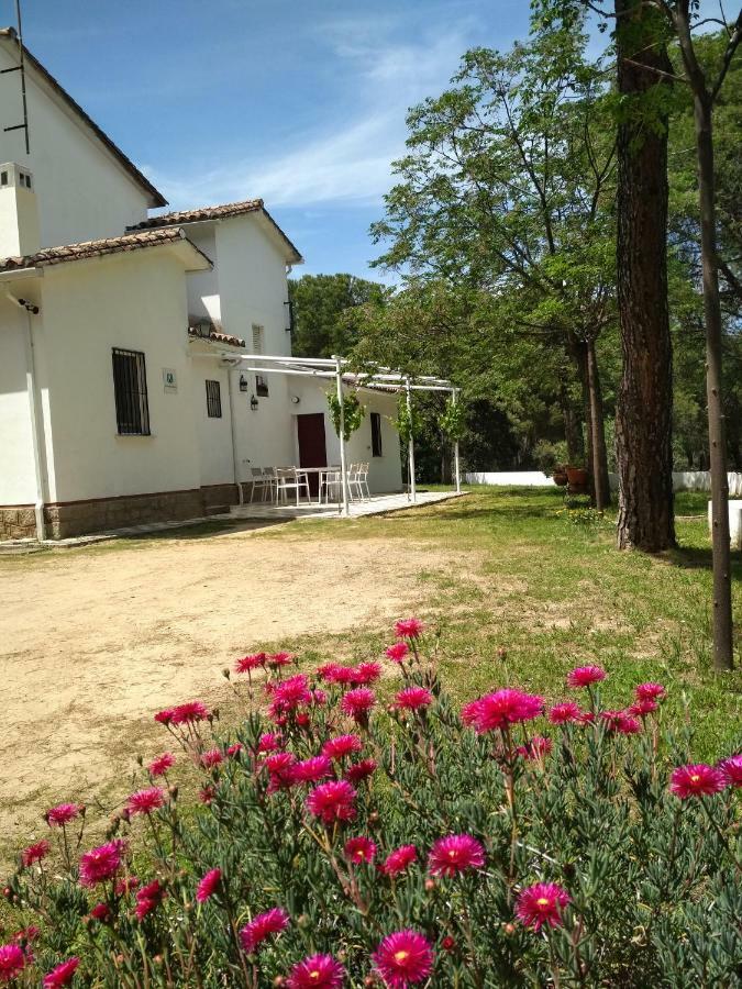 Vina Concepcion Villa Andujar Ngoại thất bức ảnh